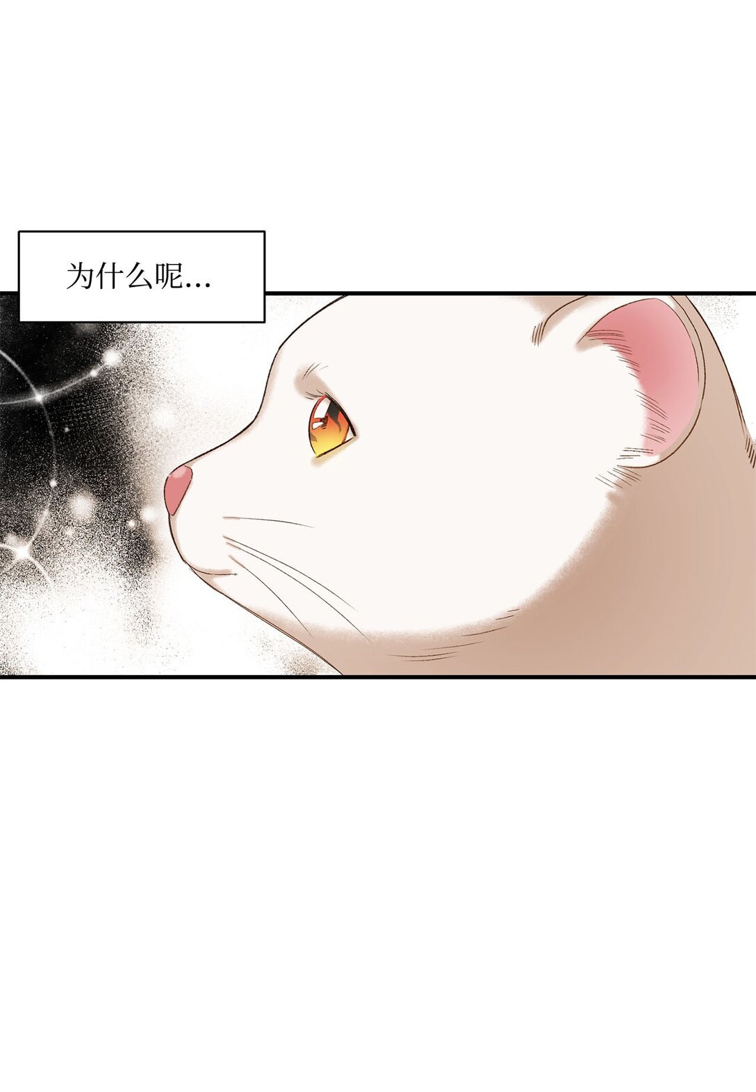04 会说话的白鼬(1/2)-第4话