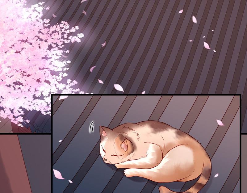 第24话-第24话