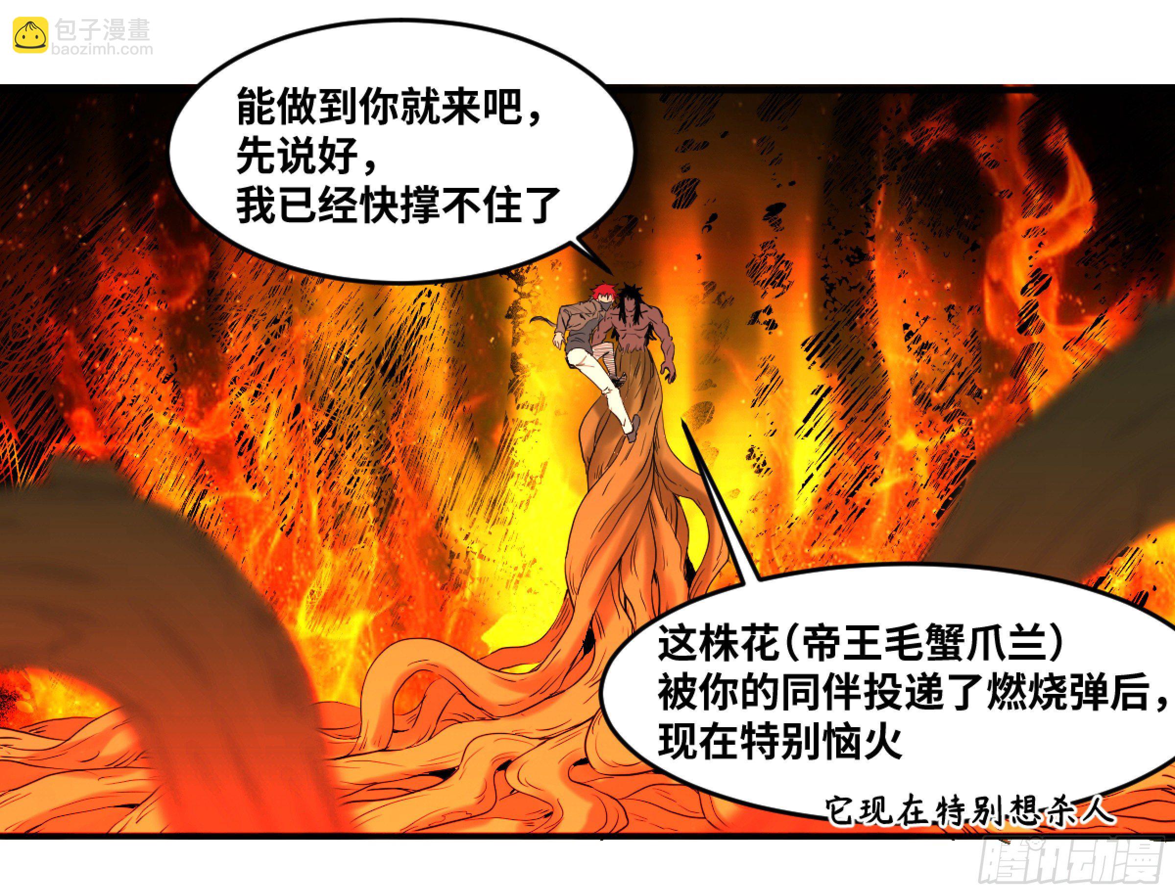 170 火葬-第176话