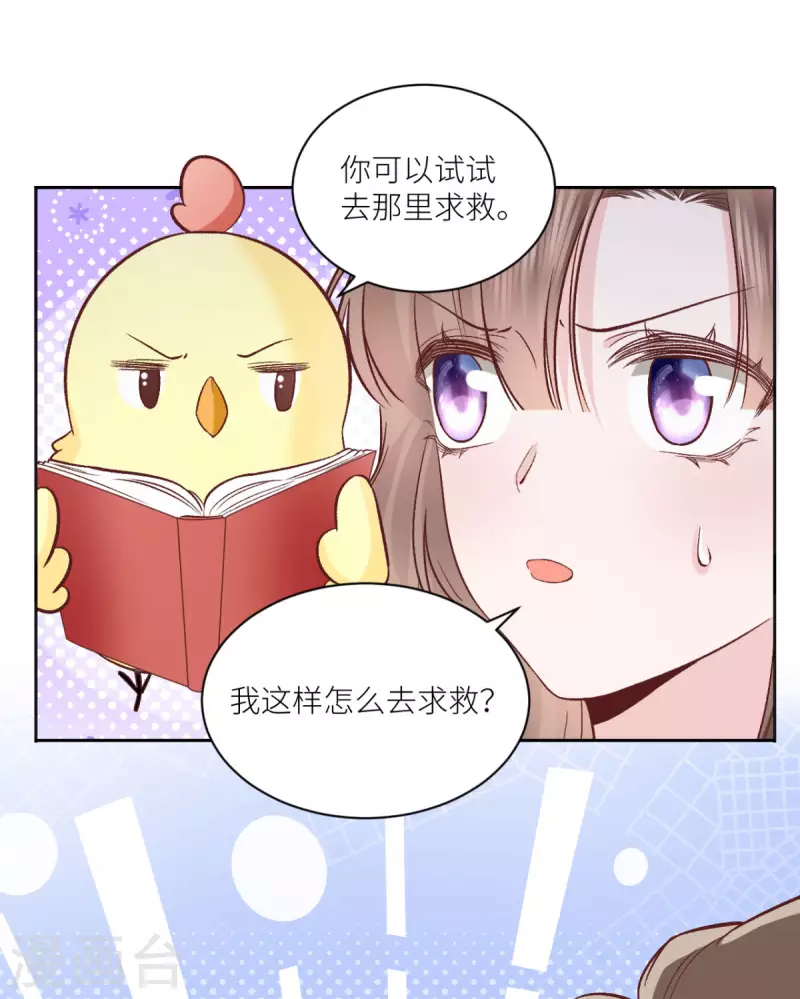 第39话 找到你了，小野猫-第40话
