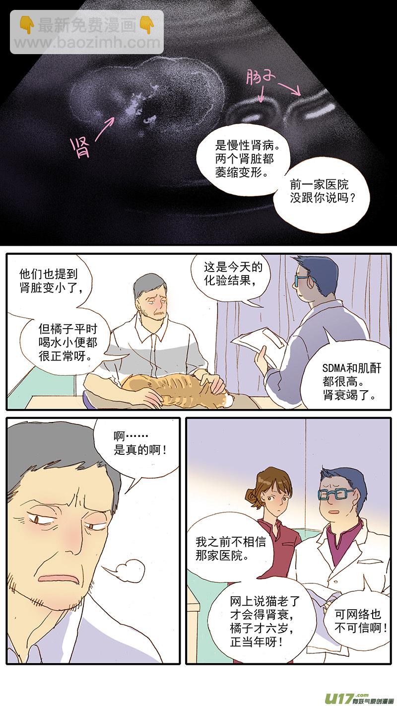 108 猫的肾病-第108话