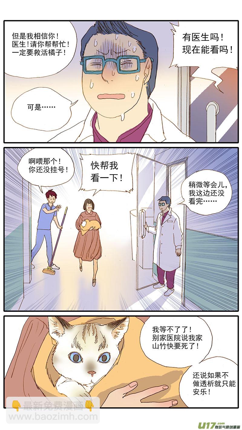 108 猫的肾病-第108话