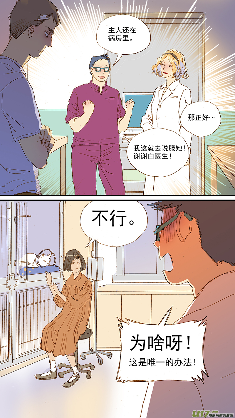 108 猫的肾病-第108话