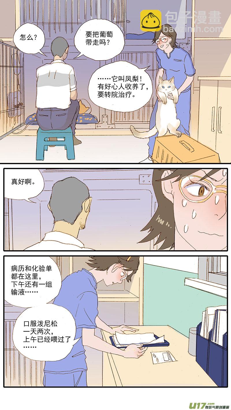 110 横膈心包疝-第110话