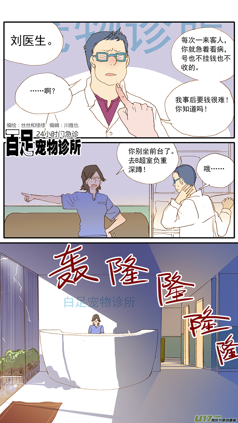 124 犬消化道异物（网球）-第124话
