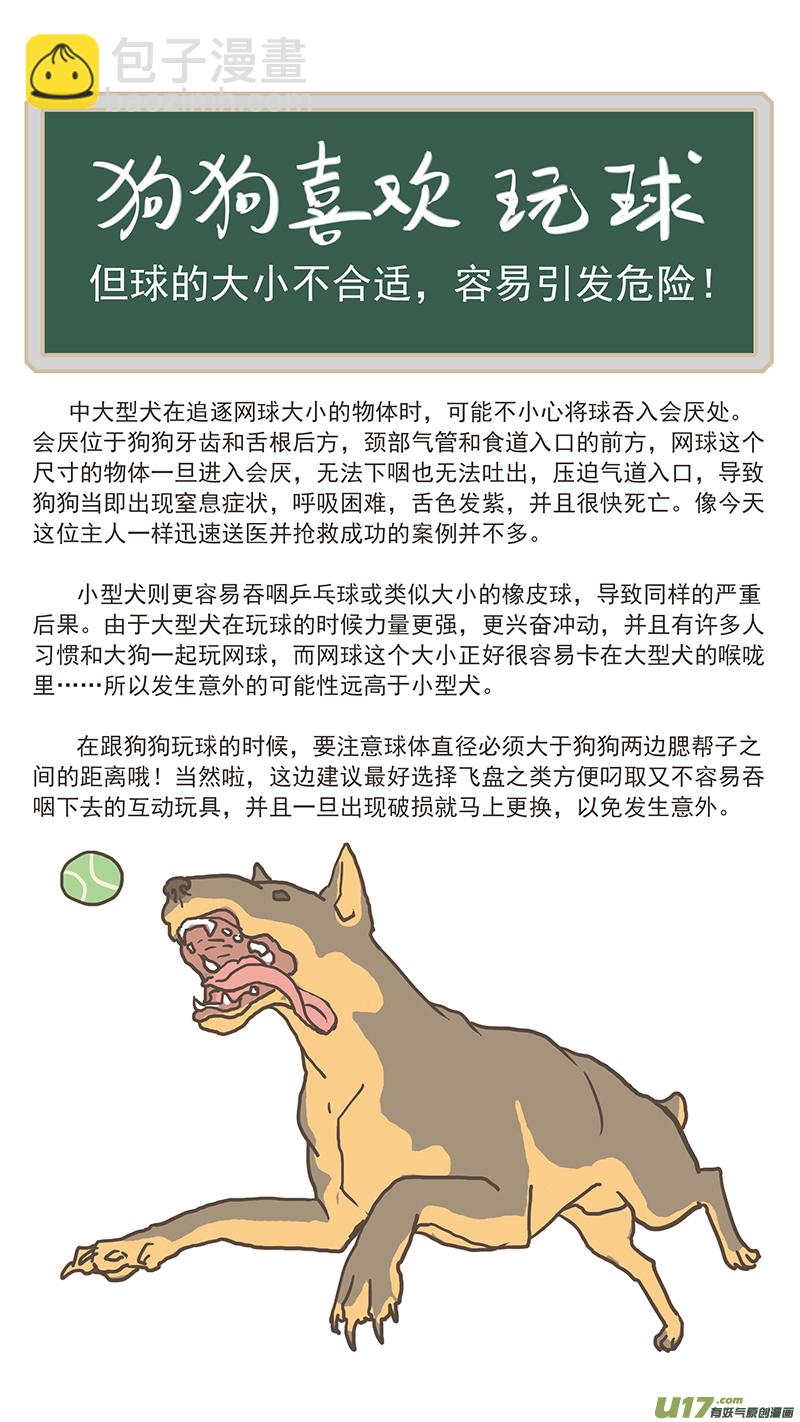 124 犬消化道异物（网球）-第124话