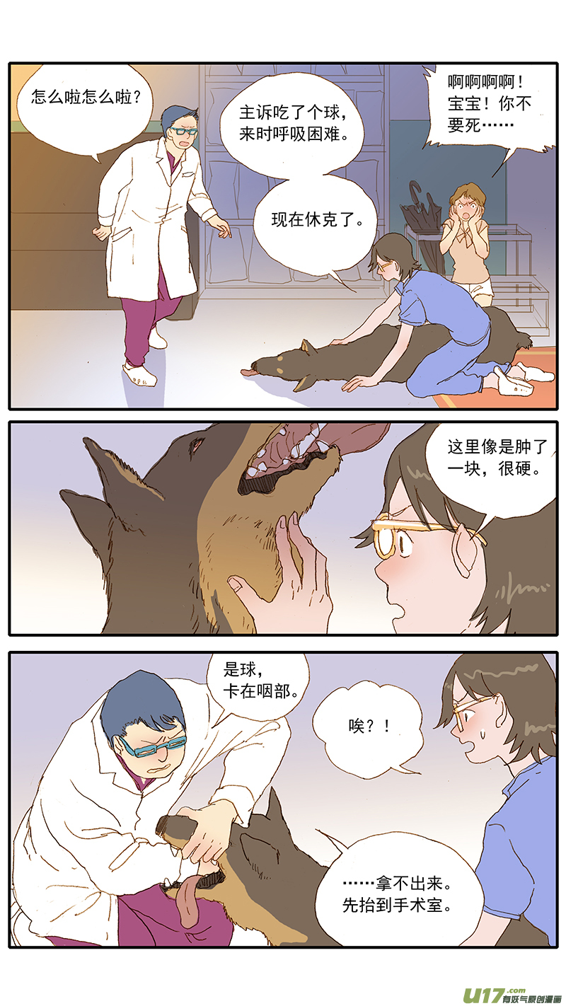 124 犬消化道异物（网球）-第124话