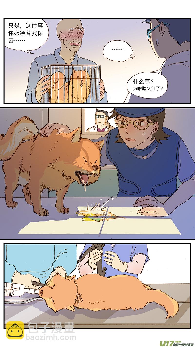 134 犬消化道异物：手术时机和方式-第134话