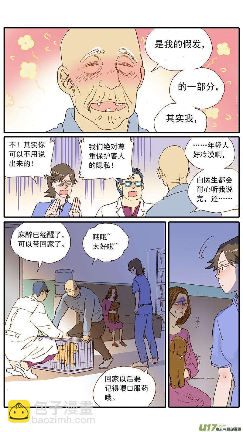 134 犬消化道异物：手术时机和方式-第134话