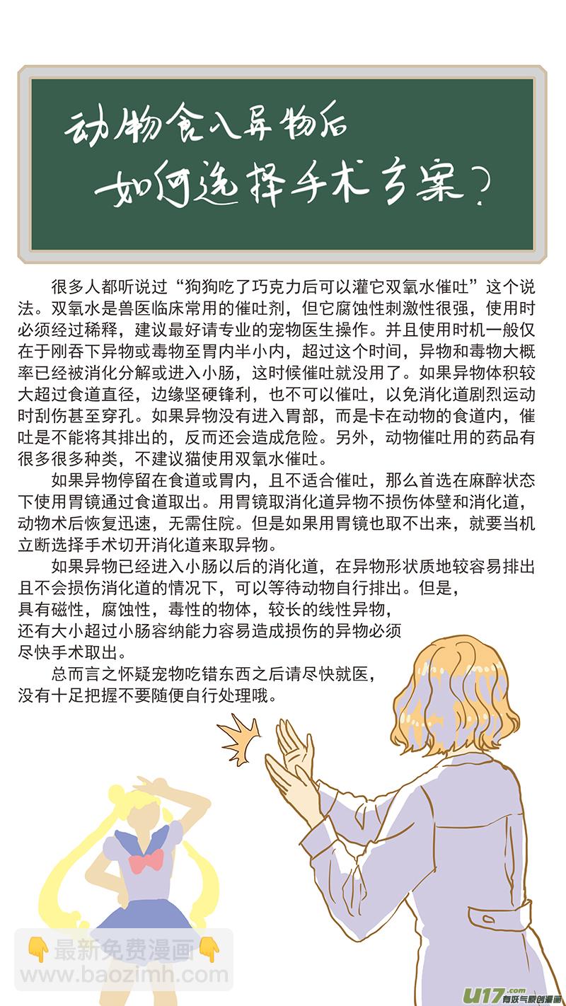 134 犬消化道异物：手术时机和方式-第134话