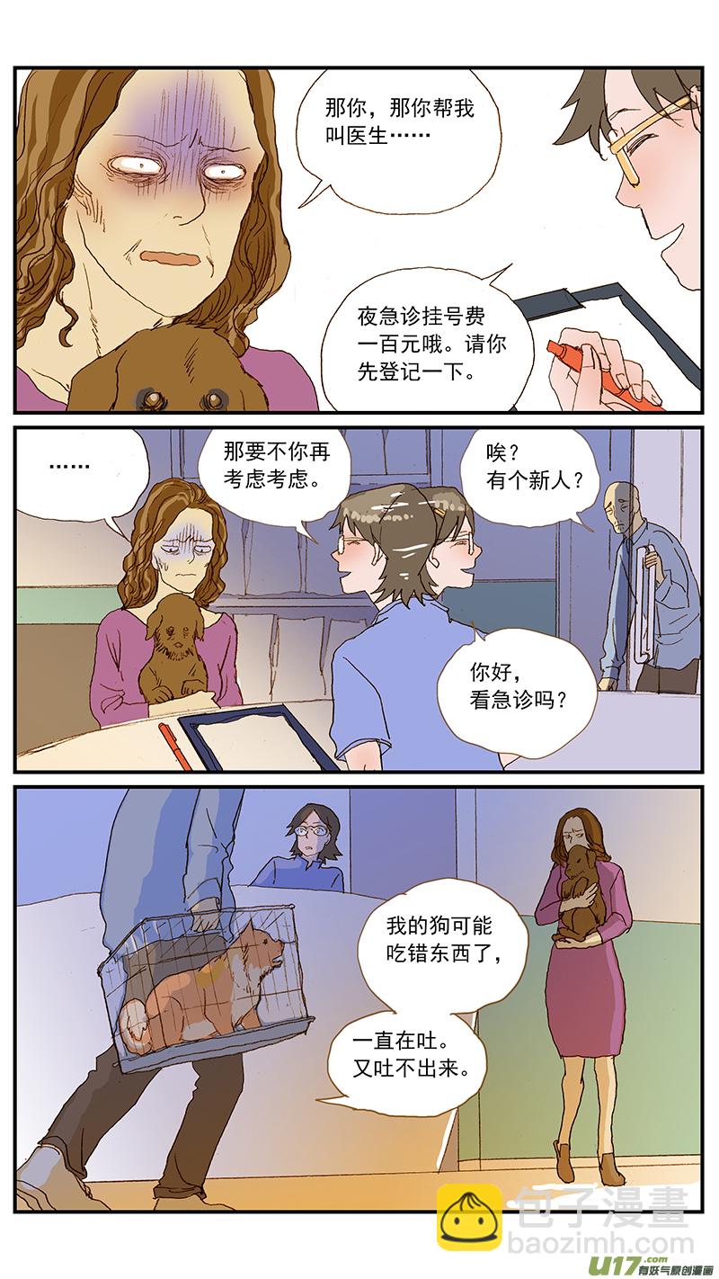 134 犬消化道异物：手术时机和方式-第134话
