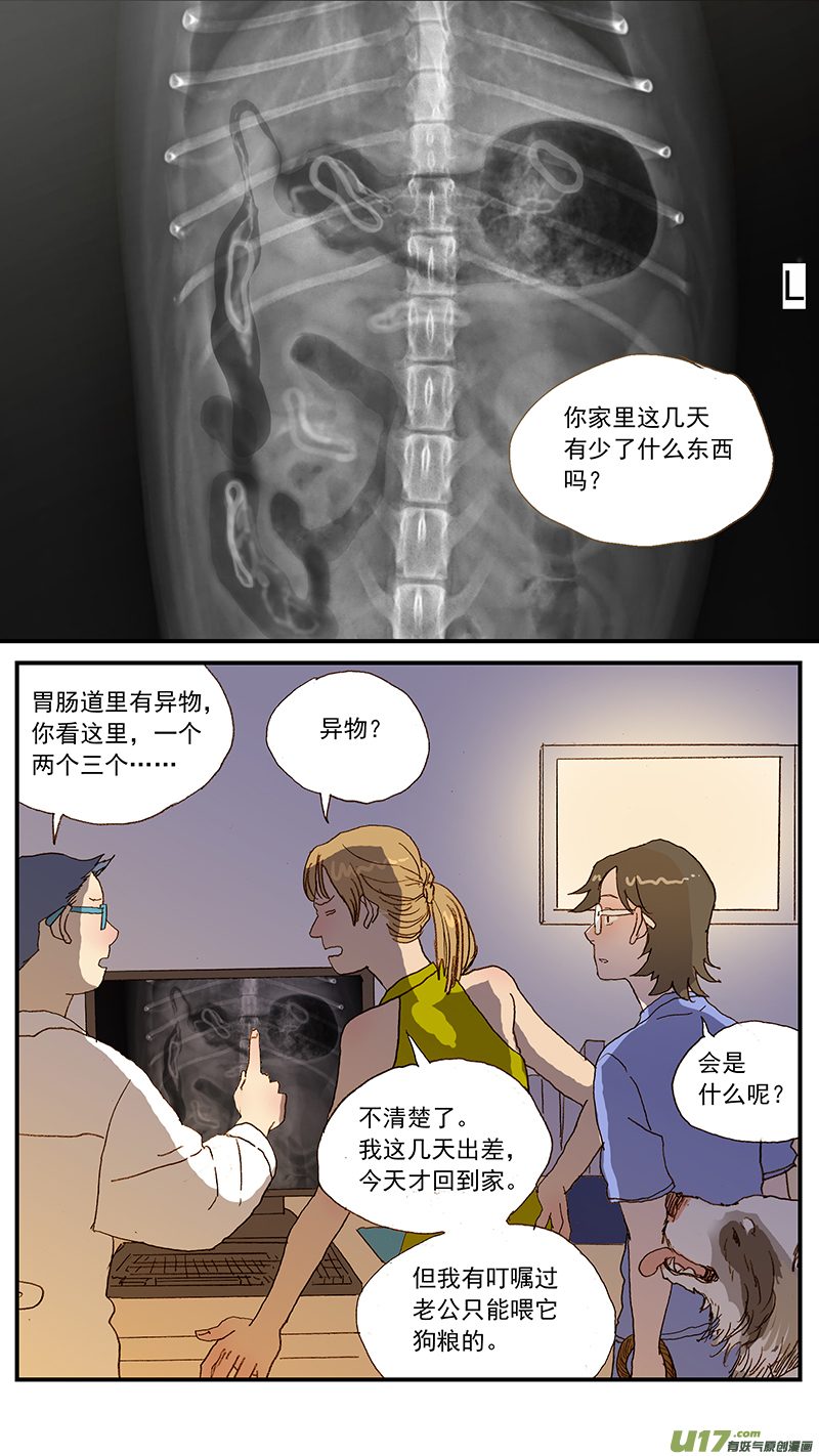 134 犬消化道异物：手术时机和方式-第134话