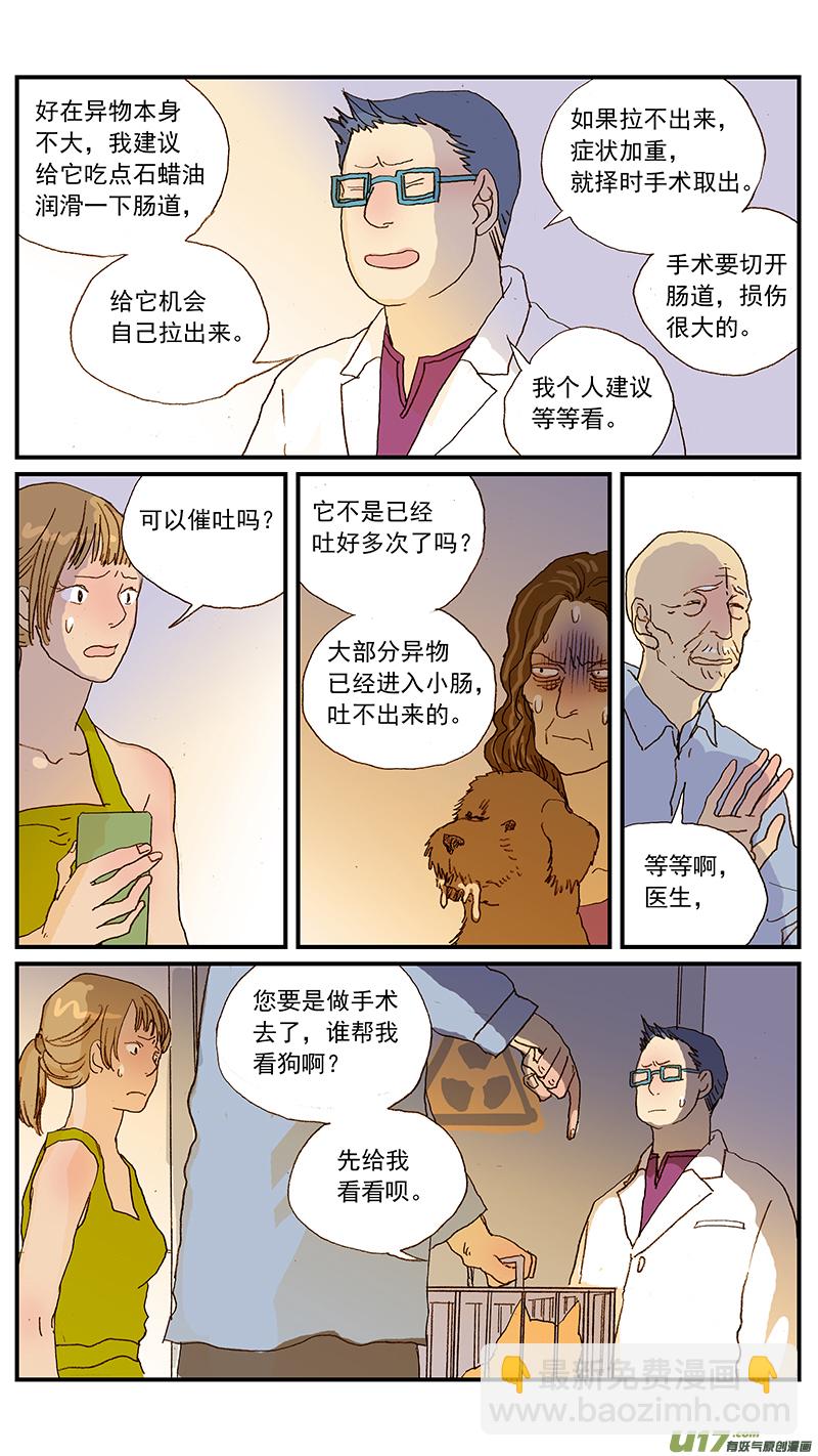 134 犬消化道异物：手术时机和方式-第134话