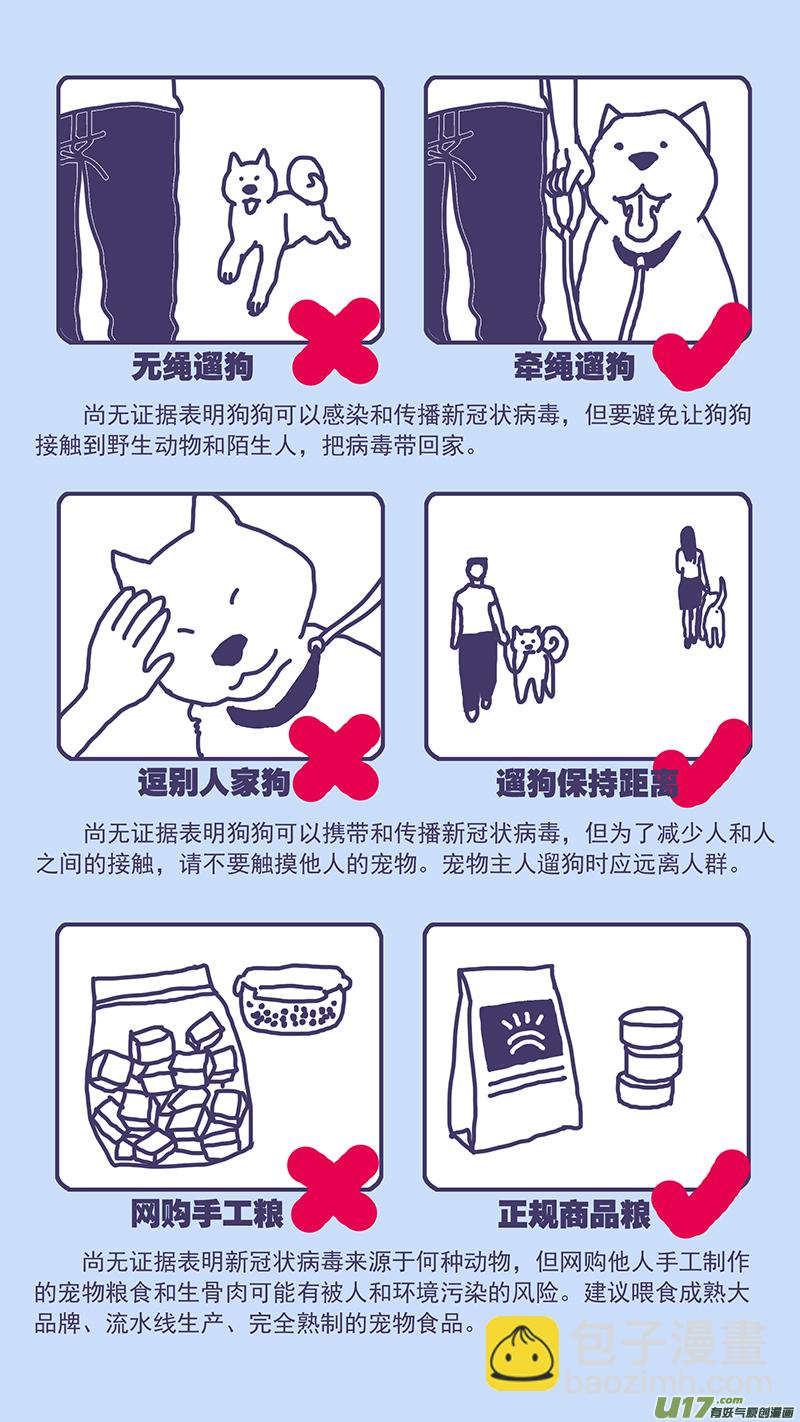 141.5 突发！新冠疫情期间养宠贴士-第142话