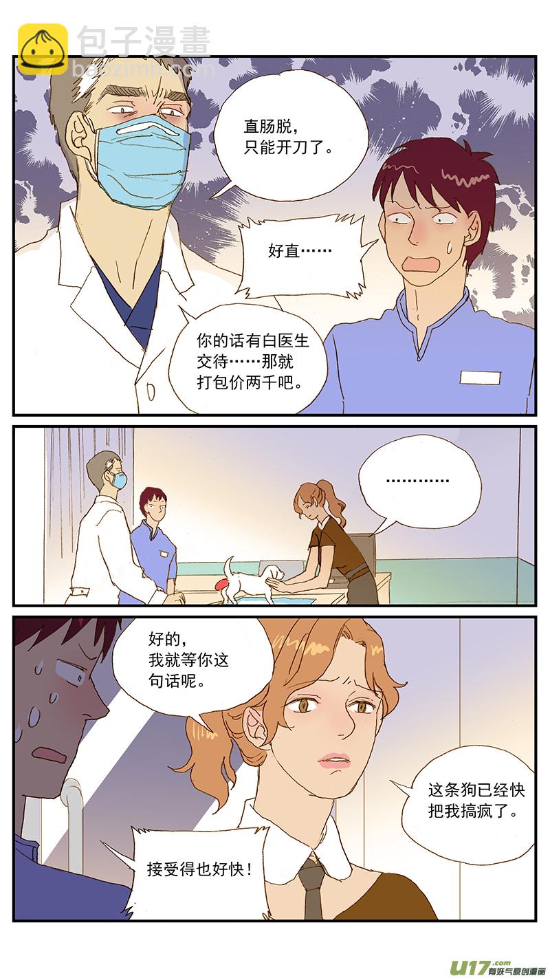 143 直肠脱-第144话