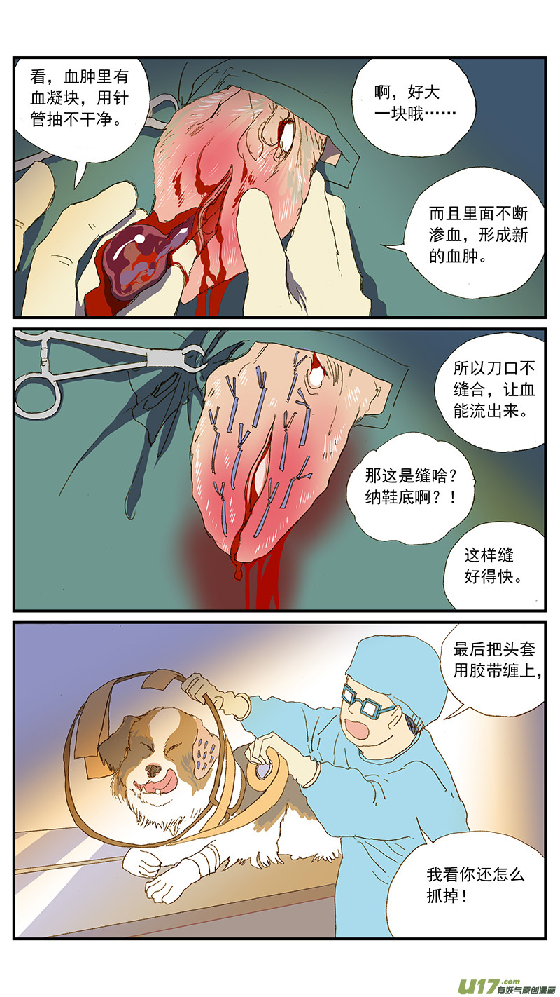 149 耳血肿-第150话