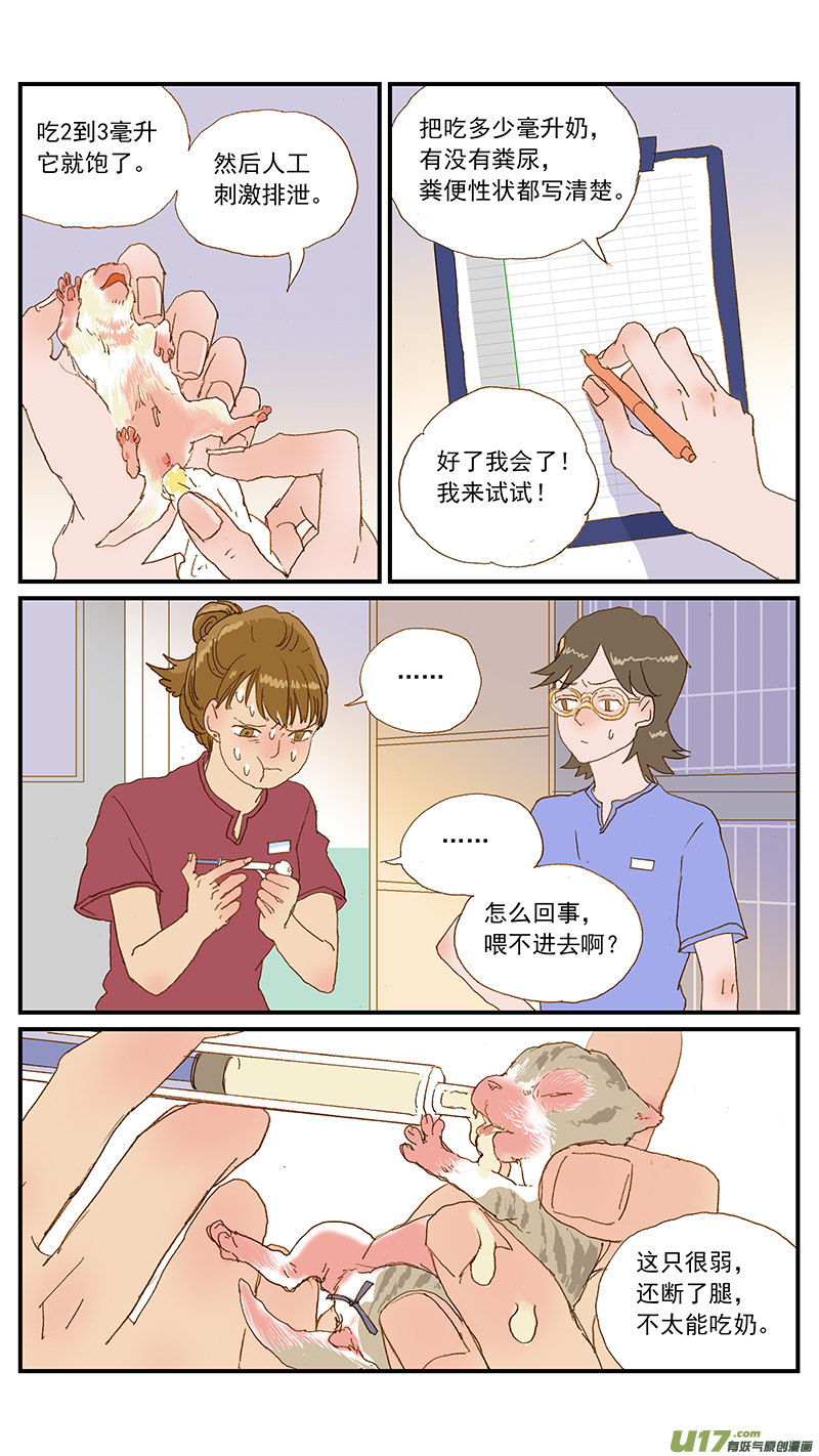 149 耳血肿-第150话