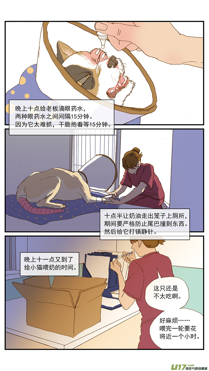 149 耳血肿-第150话
