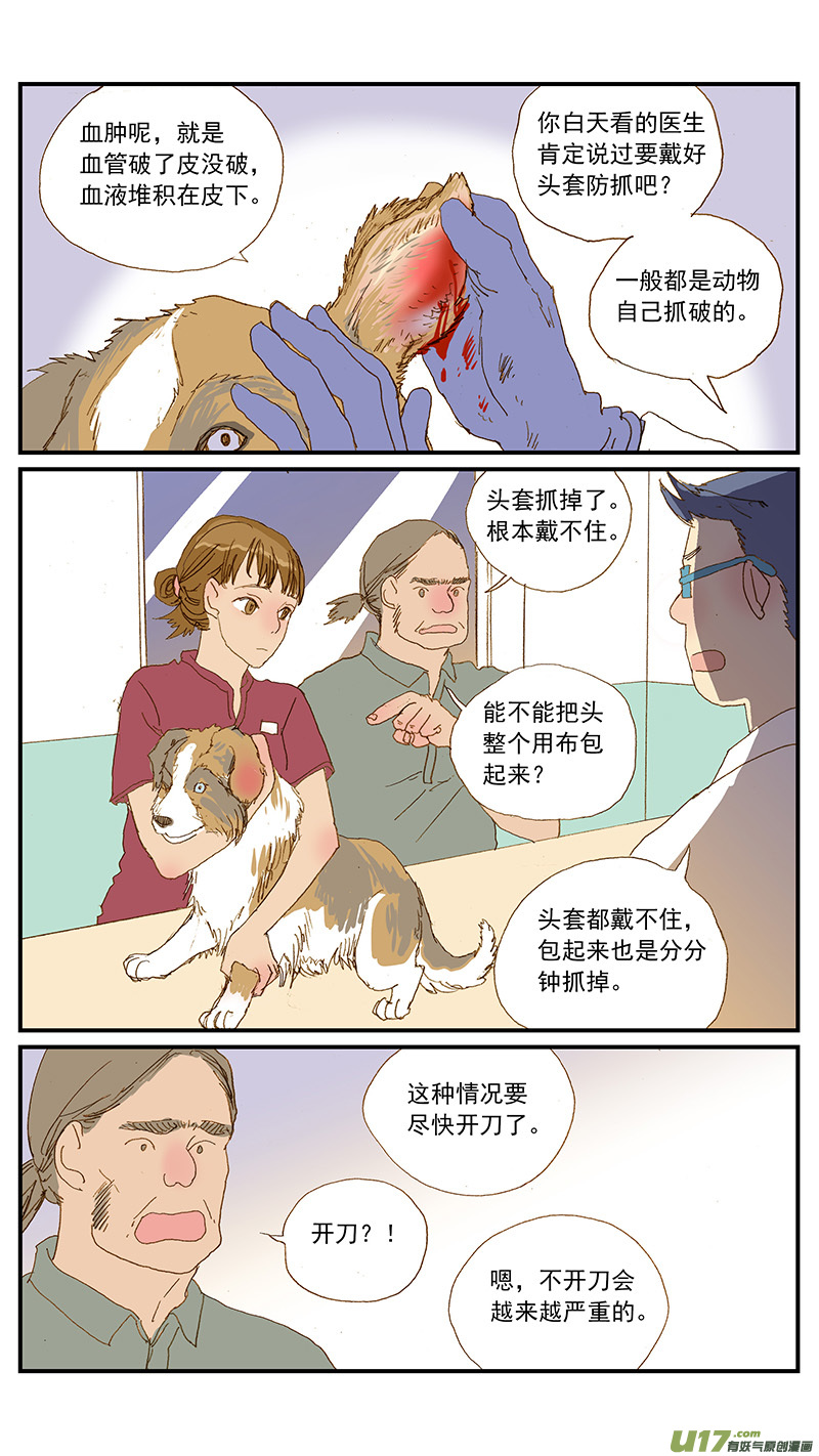 149 耳血肿-第150话
