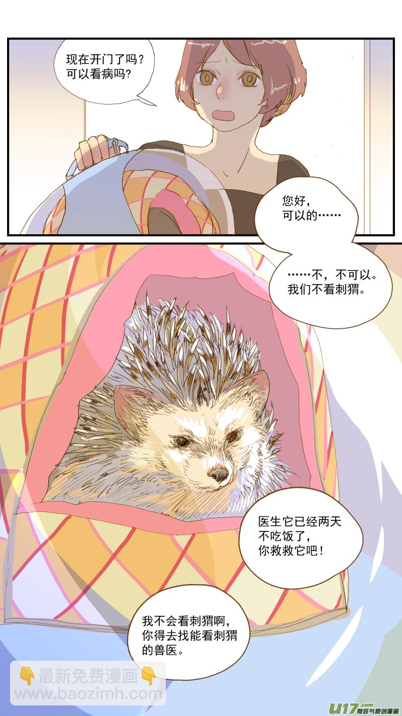 155 刺猬怎么看病-第156话
