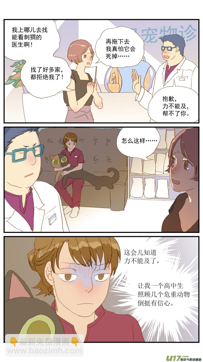 155 刺猬怎么看病-第156话