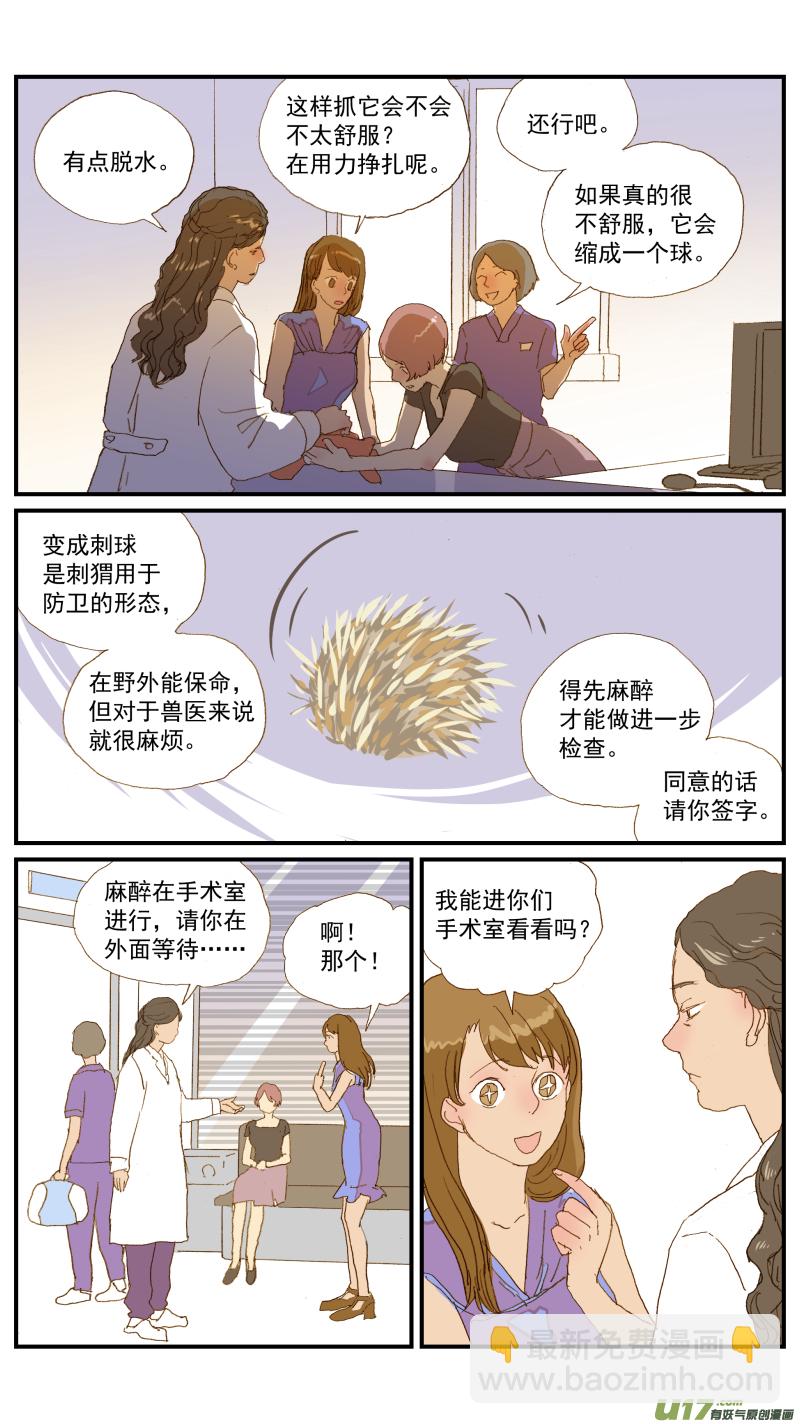 155 刺猬怎么看病-第156话
