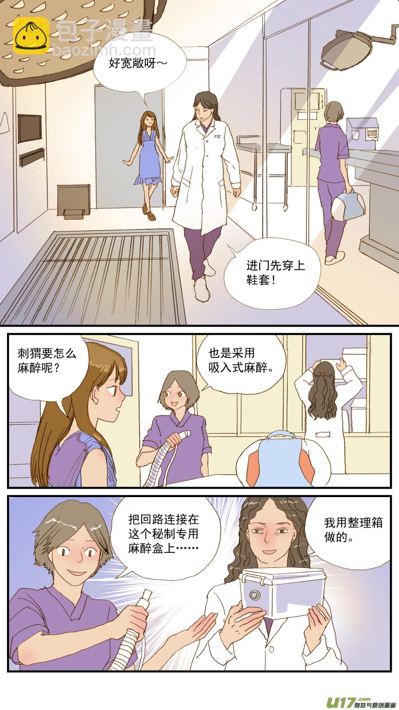 155 刺猬怎么看病-第156话