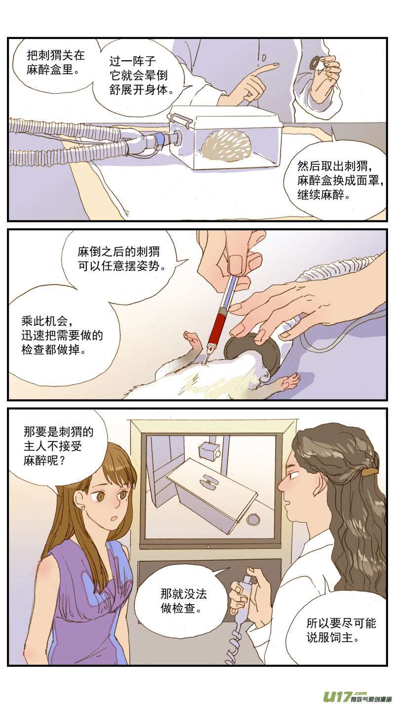 155 刺猬怎么看病-第156话