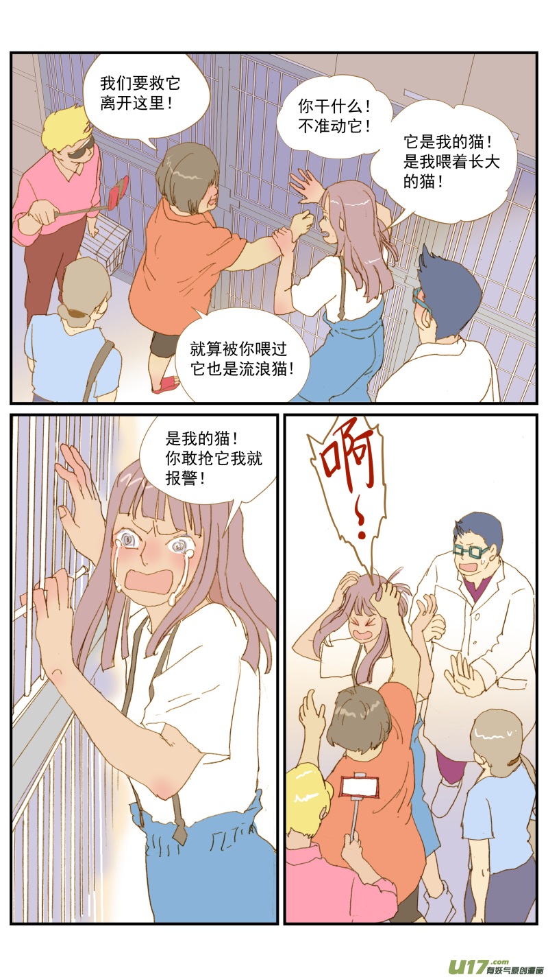 165 能不能用流浪动物给宠物献血？-第166话