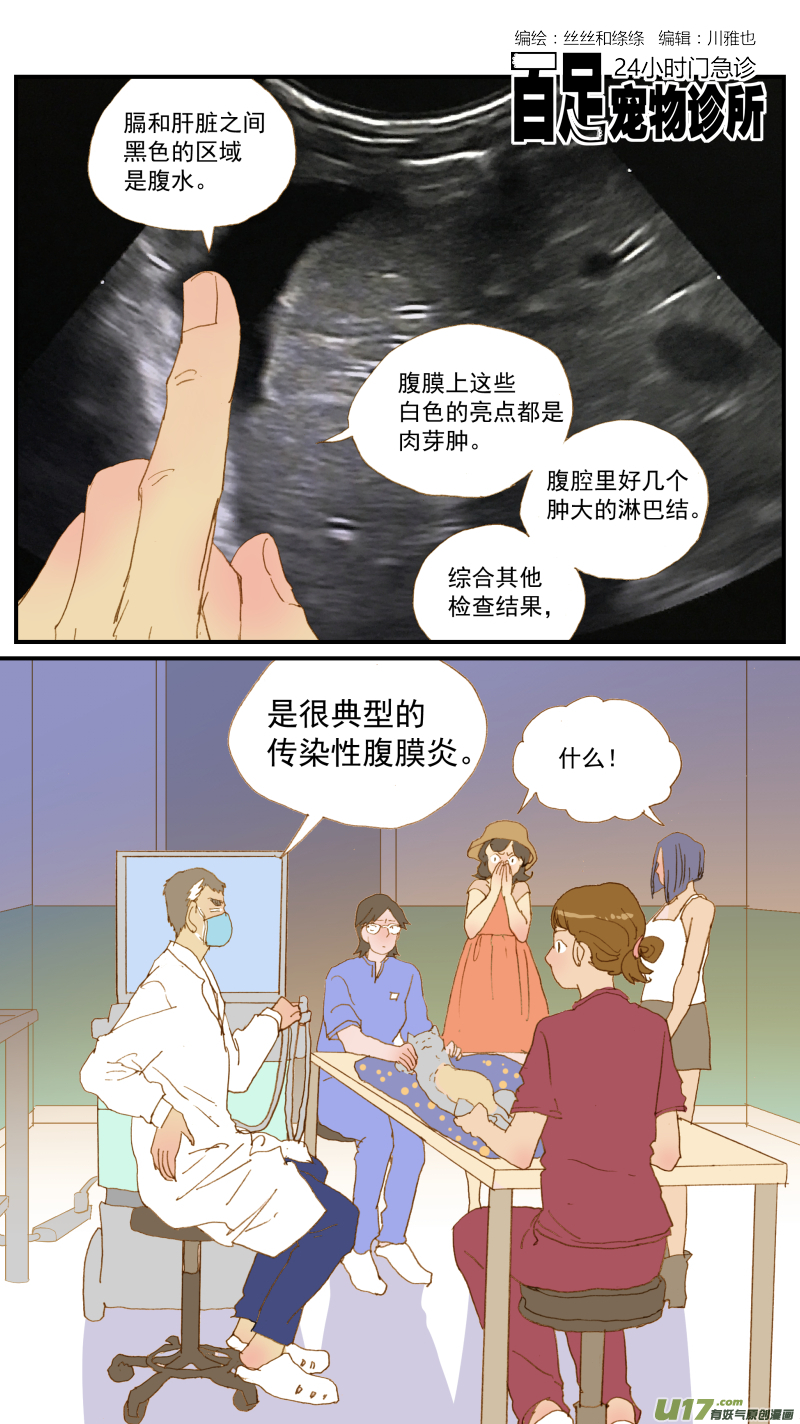 171 猫传腹治疗药物-第172话