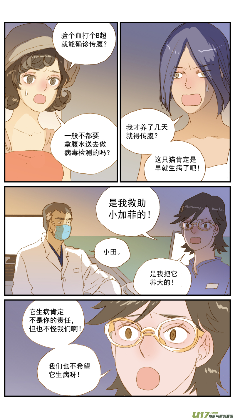 171 猫传腹治疗药物-第172话
