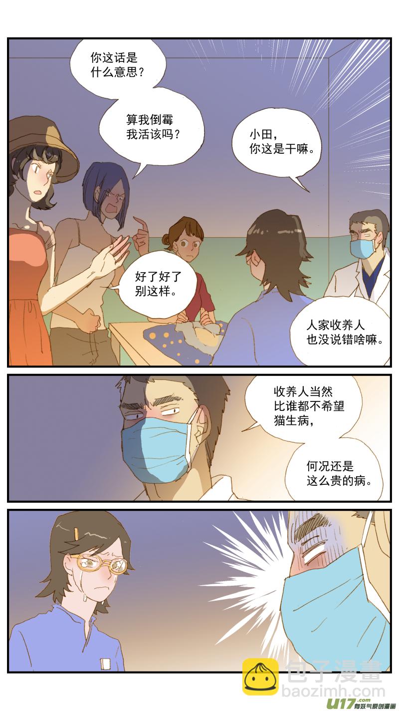 171 猫传腹治疗药物-第172话