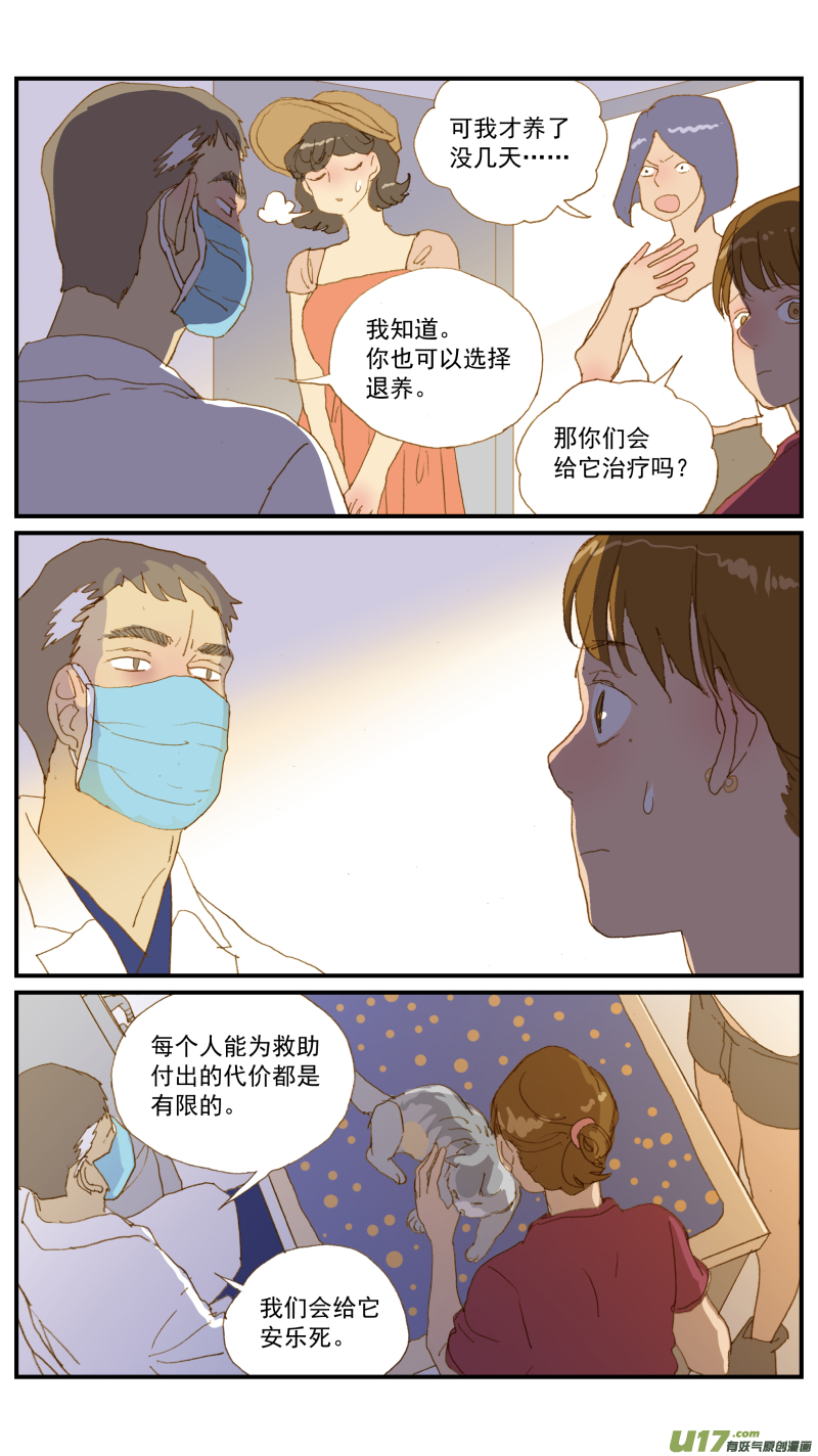 171 猫传腹治疗药物-第172话