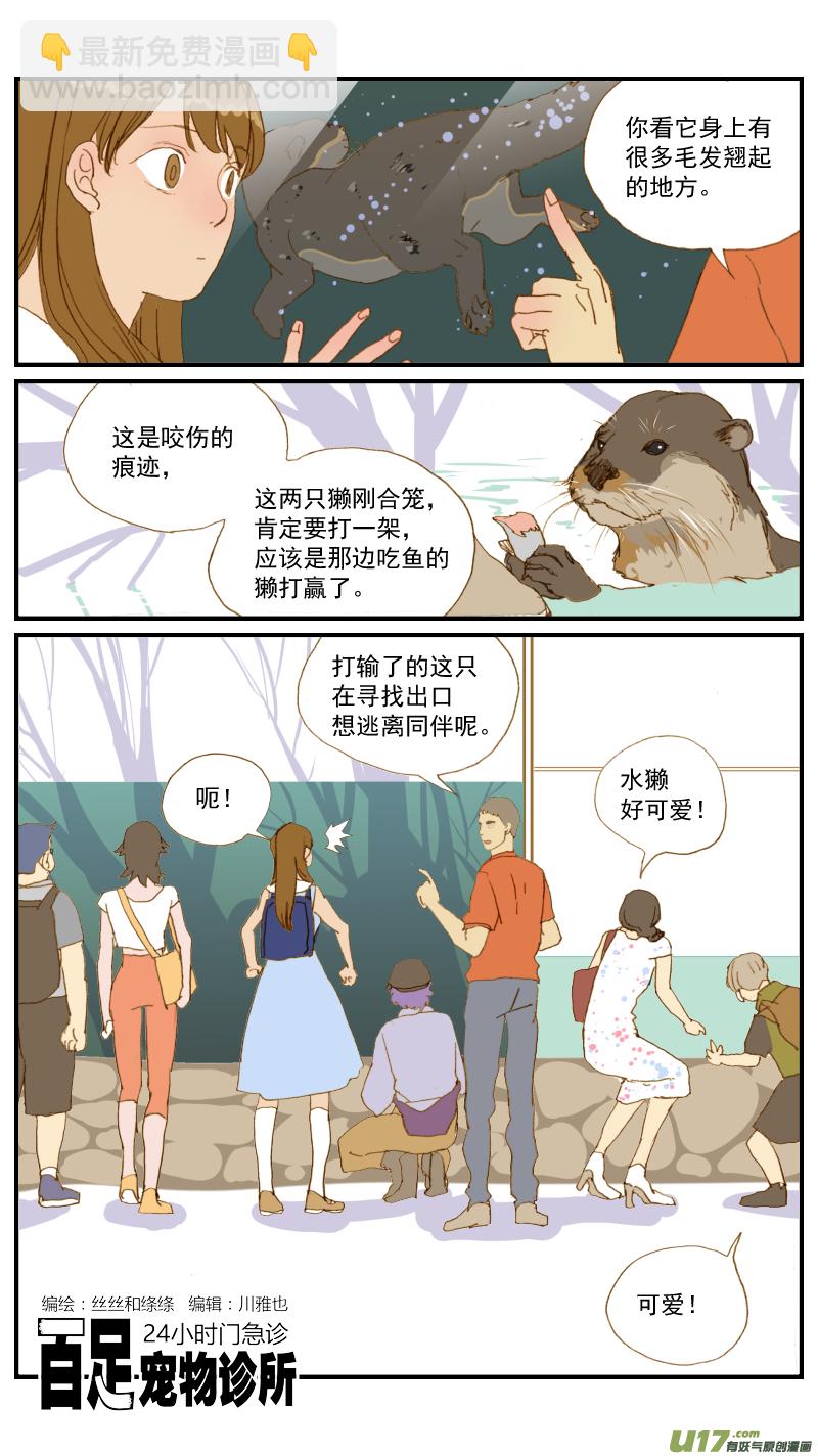 175 不可以乱投喂哦-第176话
