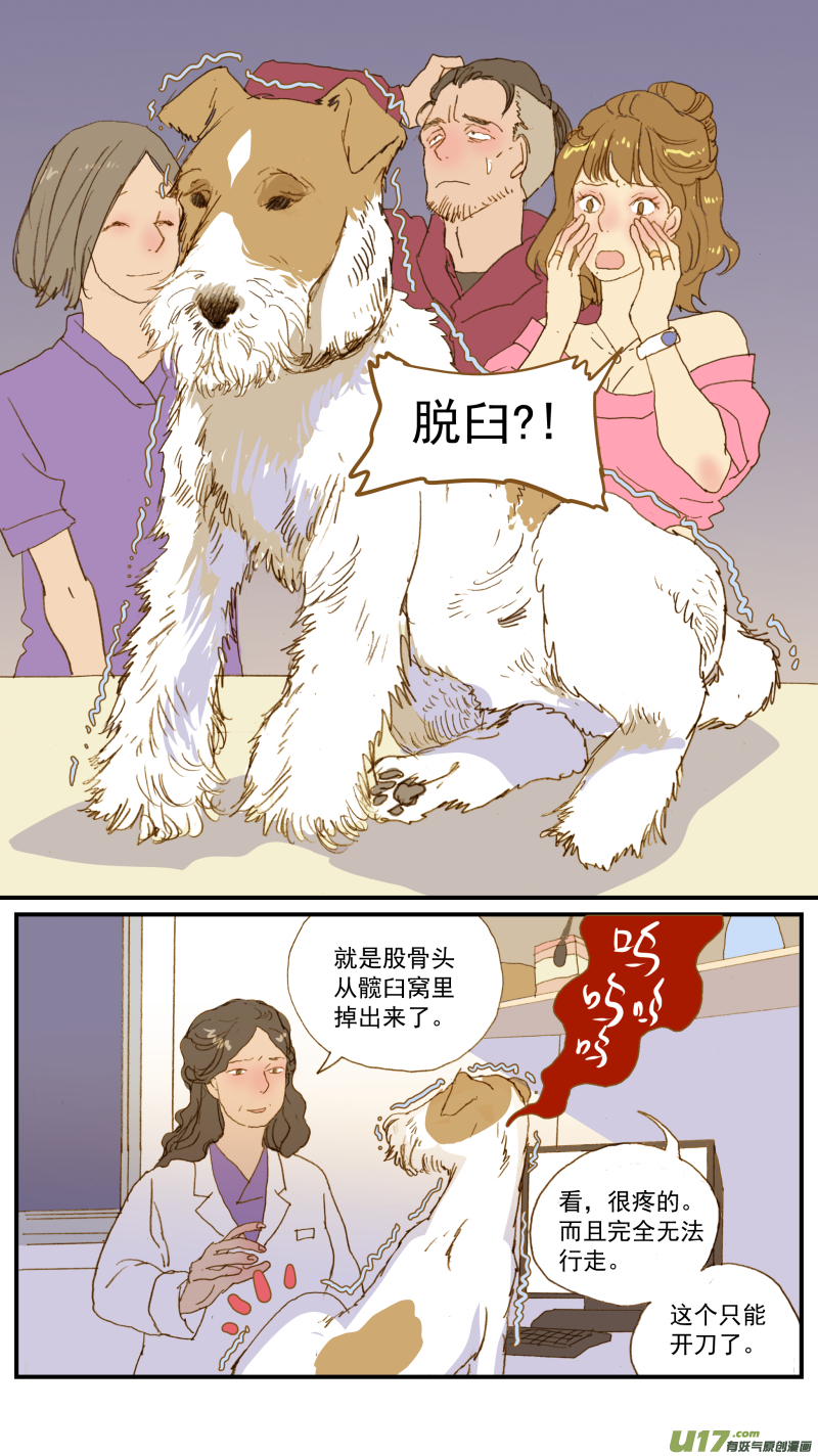 177 髋关节脱位-第178话