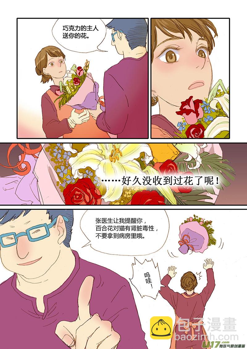 022 猫细小病毒（猫瘟）-第22话