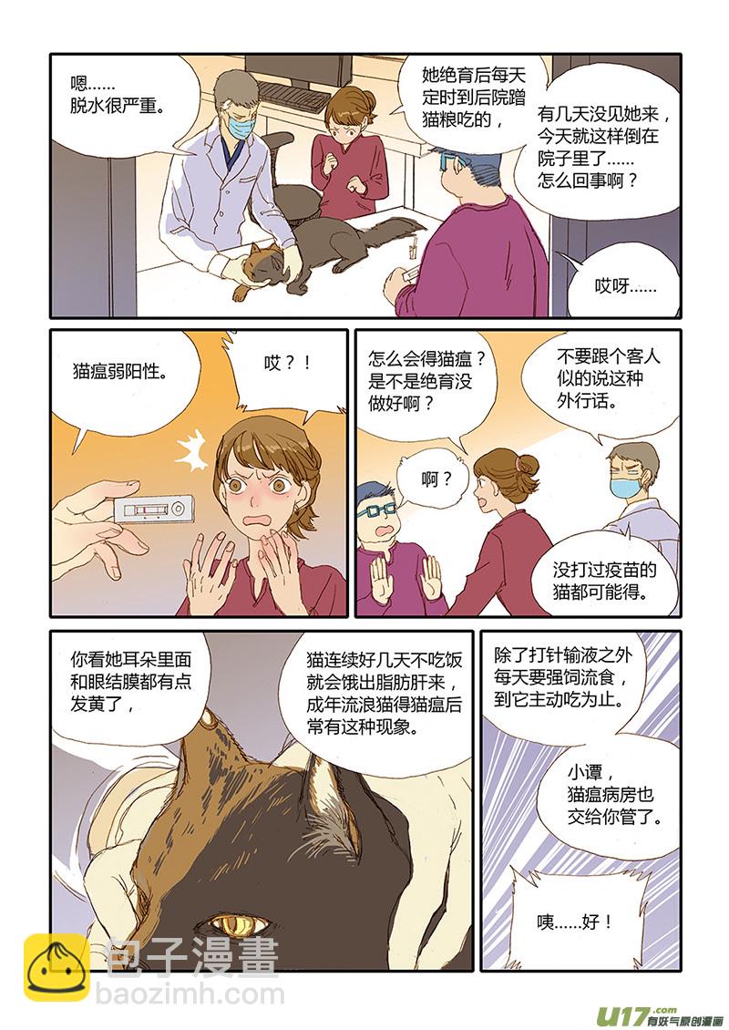 022 猫细小病毒（猫瘟）-第22话