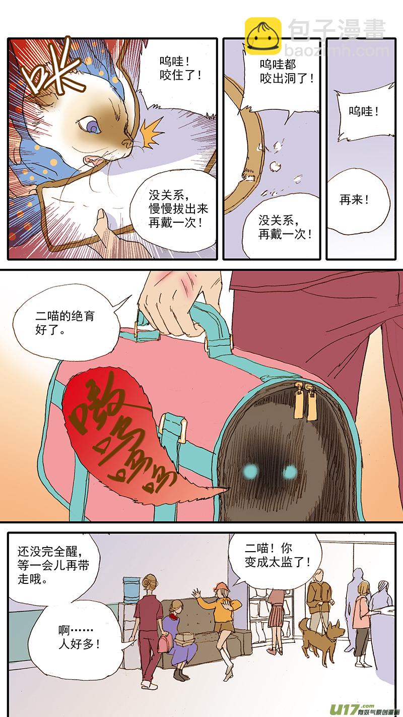 042 绝育手术对动物性格的影响-第42话
