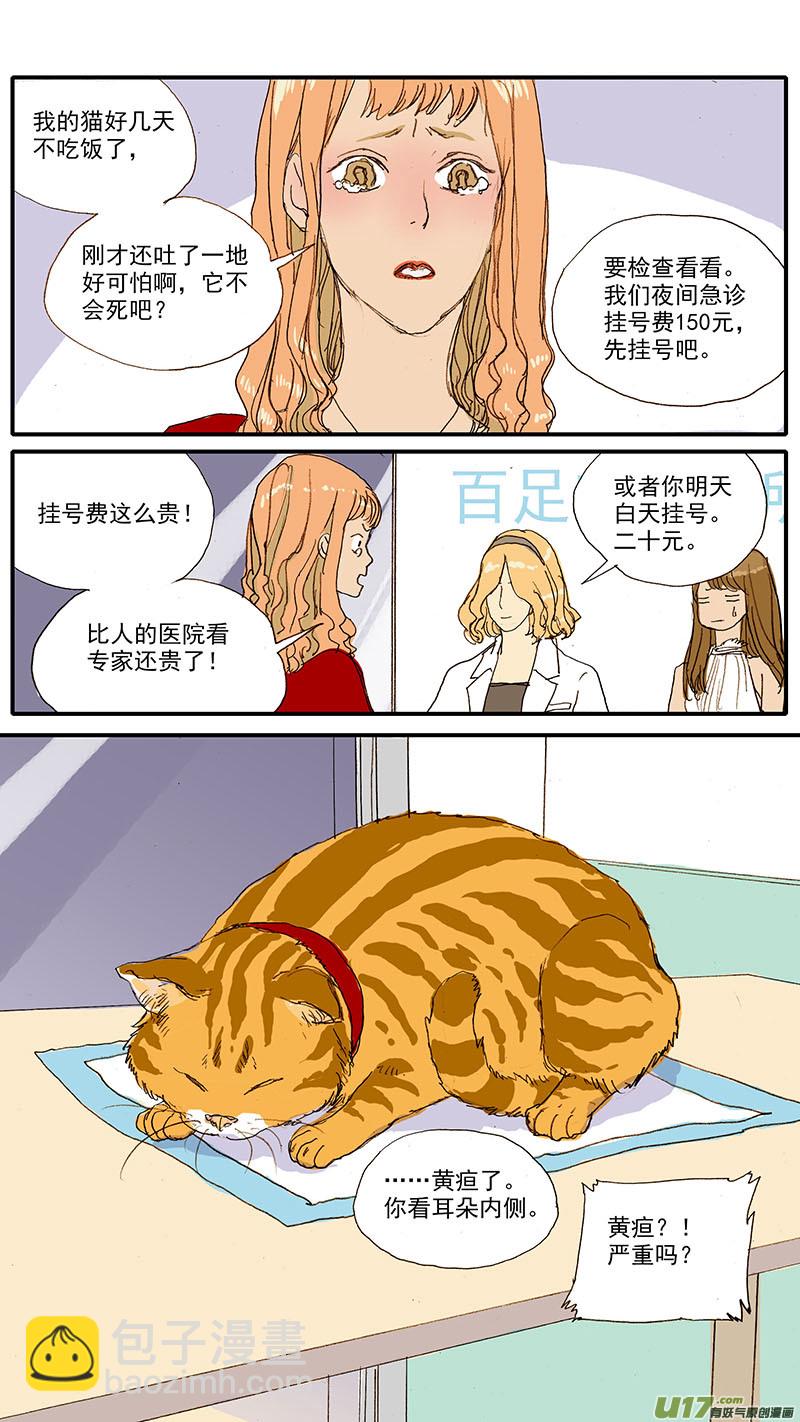 056 猫特发性脂肪肝-第56话