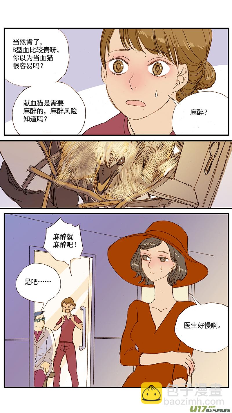 058 输血配血-第58话