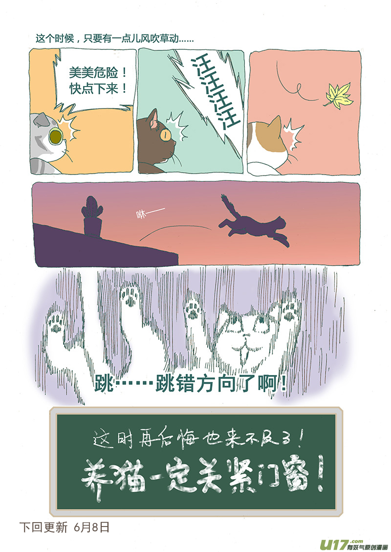 008 猫坠楼-第8话