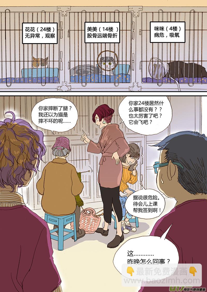 008 猫坠楼-第8话