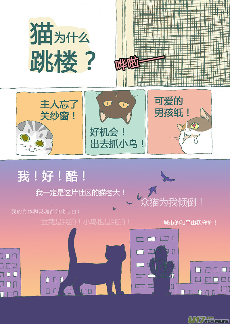 008 猫坠楼-第8话