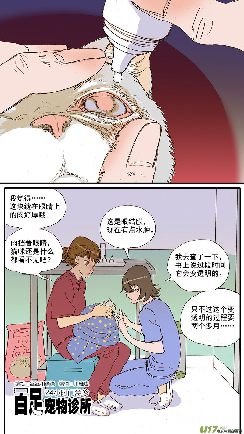 084 桥型结膜瓣遮盖术-第84话