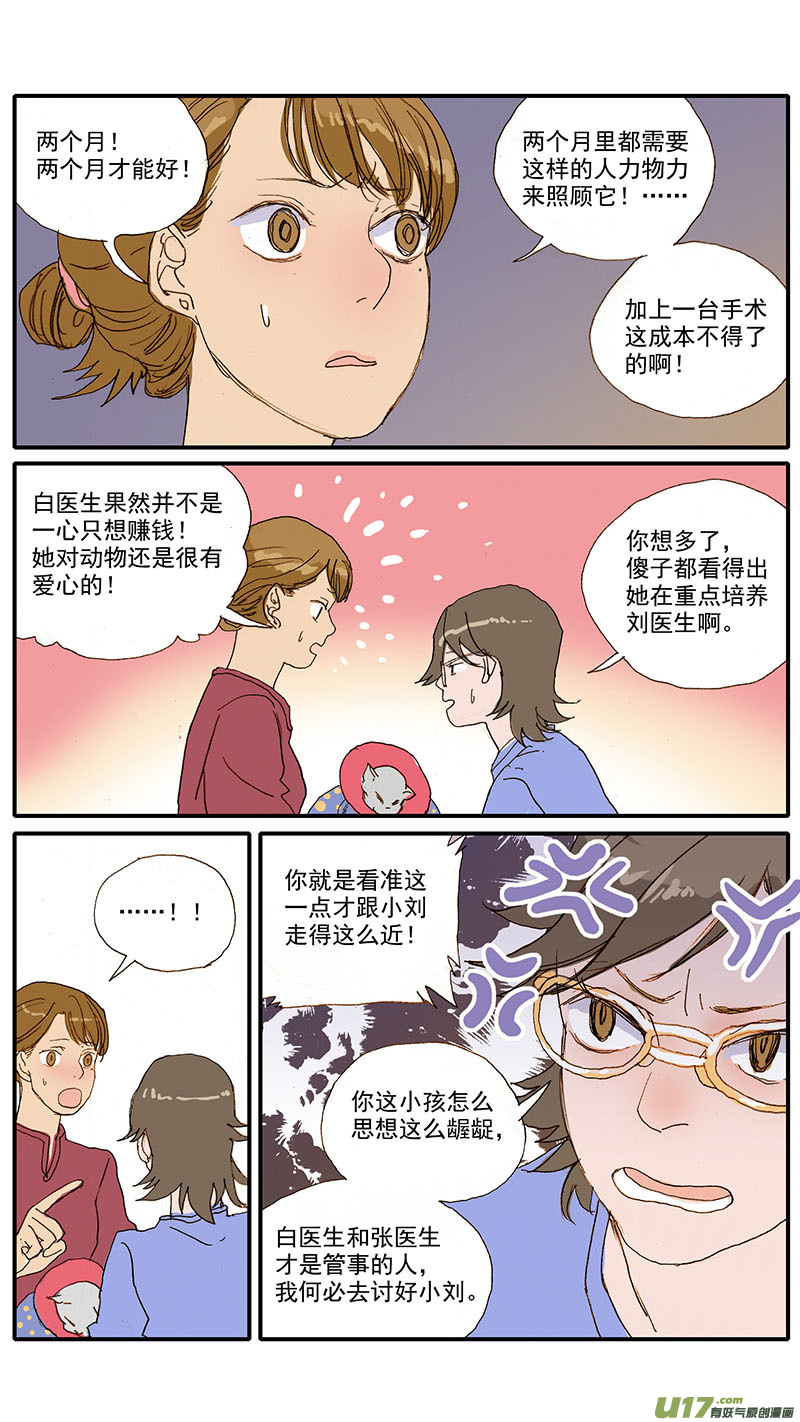 084 桥型结膜瓣遮盖术-第84话