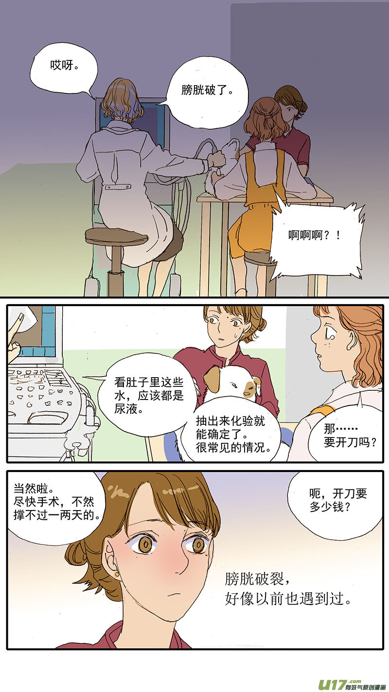 090 膀胱破裂-第90话