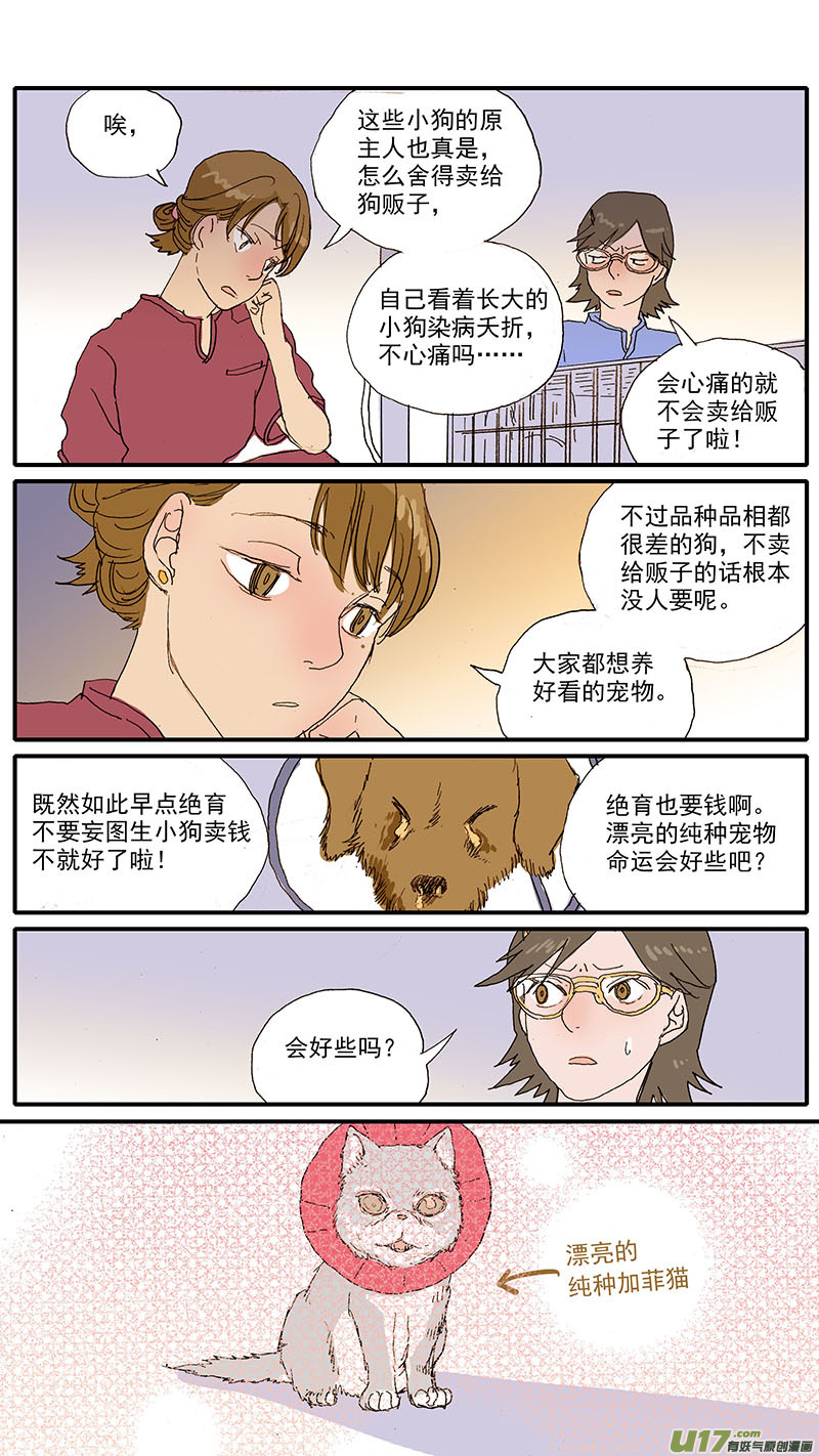 092 有偿领养骗局-第92话