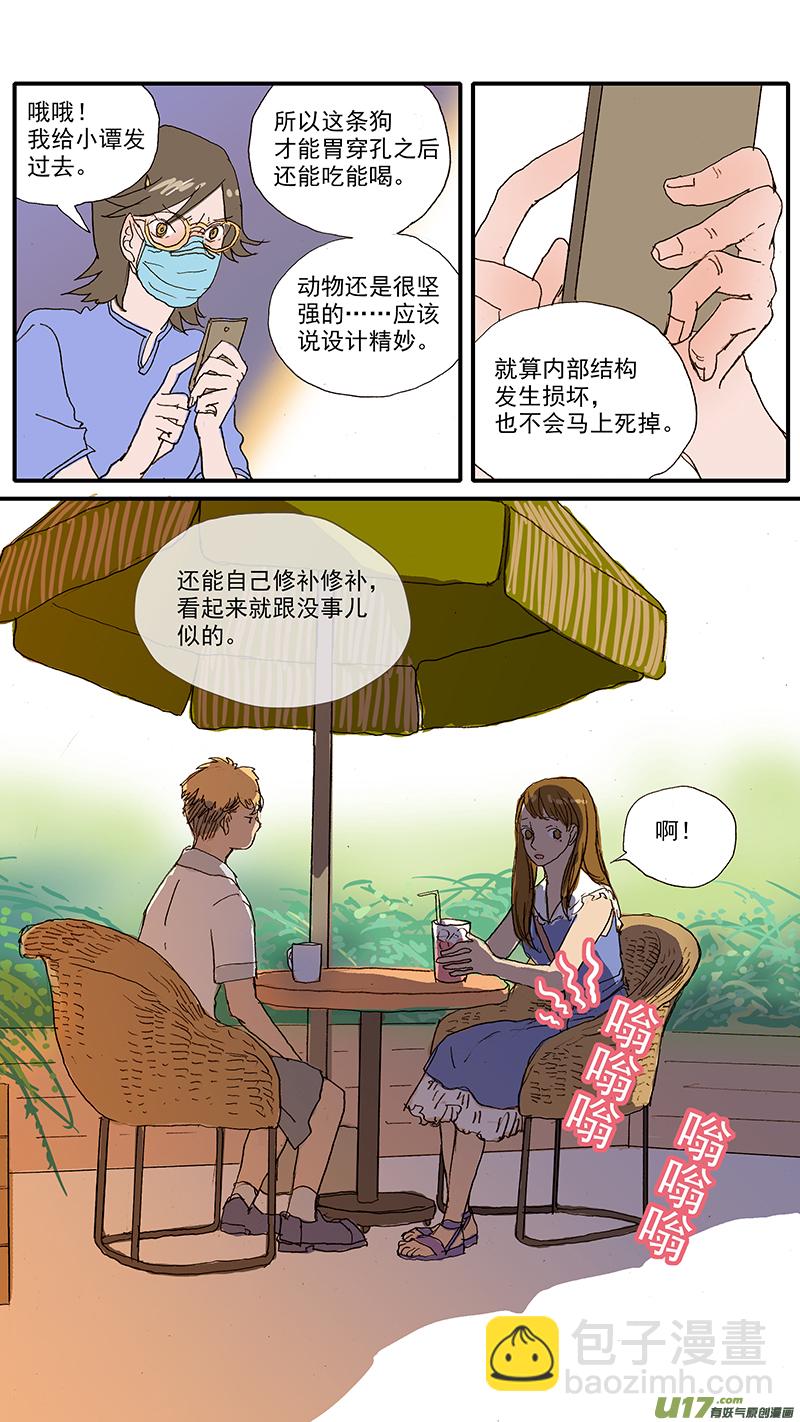 100 犬消化道异物（钢签）-第100话
