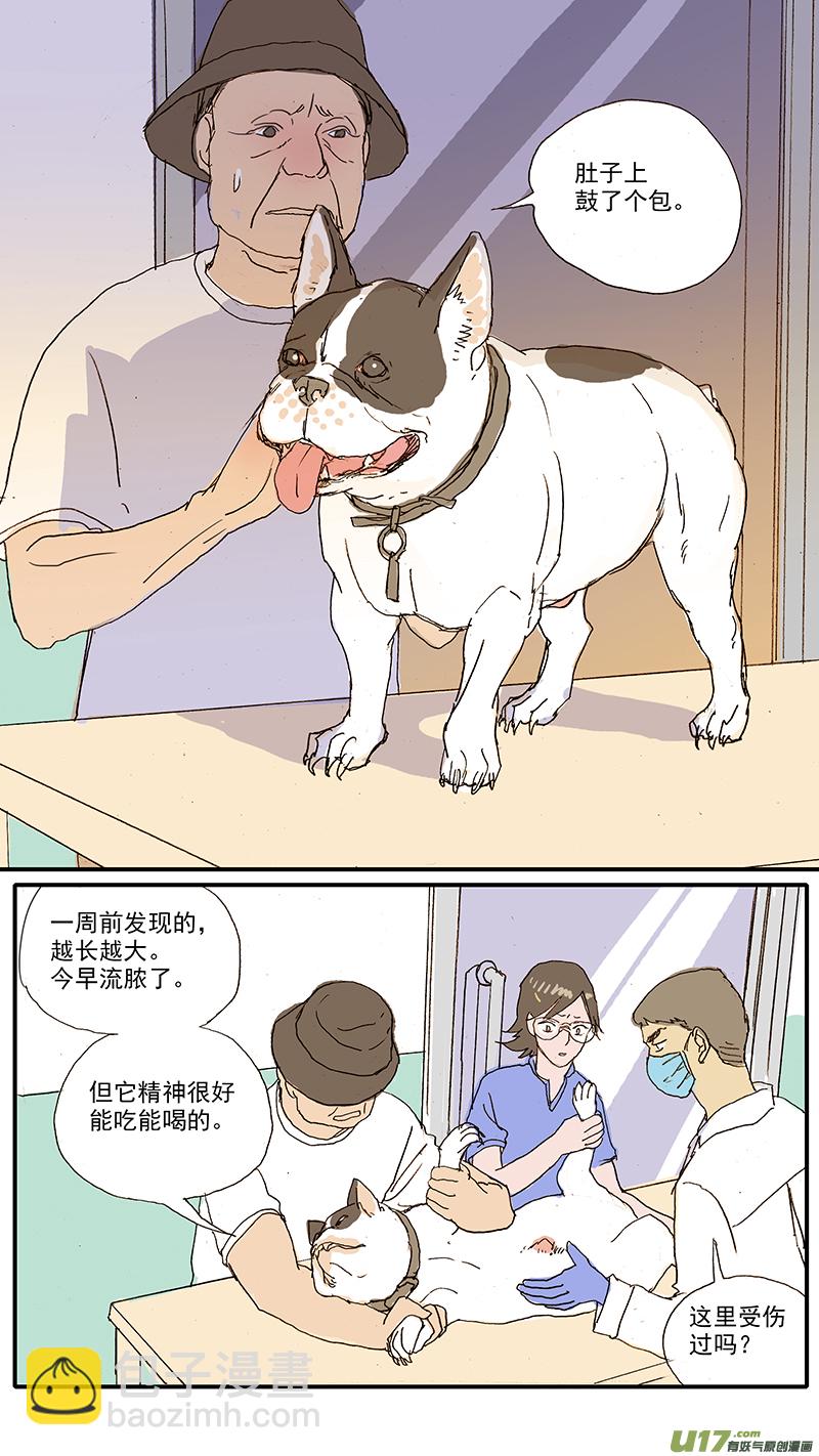 100 犬消化道异物（钢签）-第100话