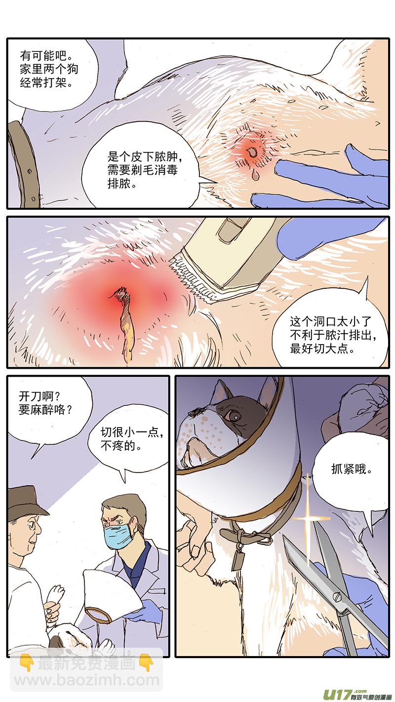 100 犬消化道异物（钢签）-第100话